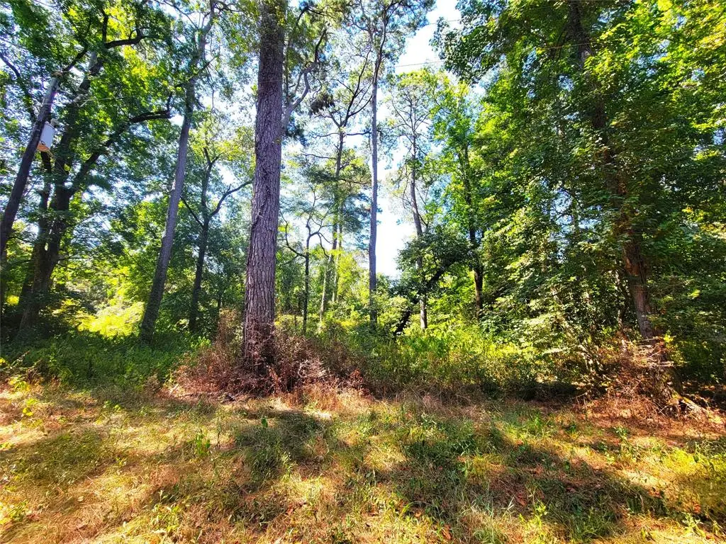 TBD Mockingbird Lane, Shepherd, TX 77371 - Image #1