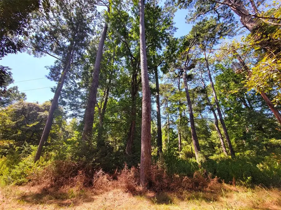 TBD Mockingbird Lane, Shepherd, TX 77371 - Image #2