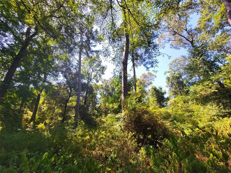 TBD Mockingbird Lane, Shepherd, TX 77371 - Image #3