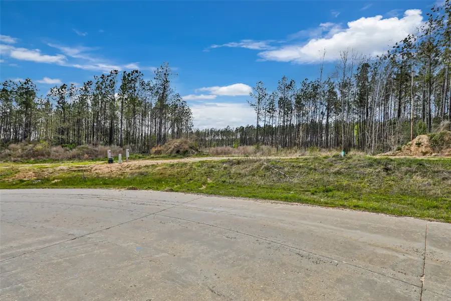 6028 Road 5897, Cleveland, TX 77327 - Image #2