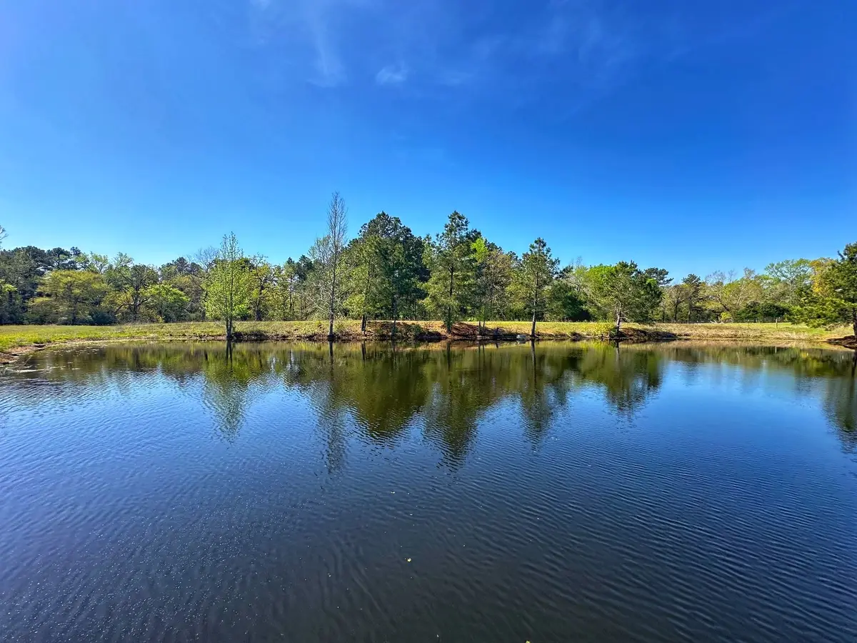 751 Cr 121, Centerville, TX 75833 - Image #1