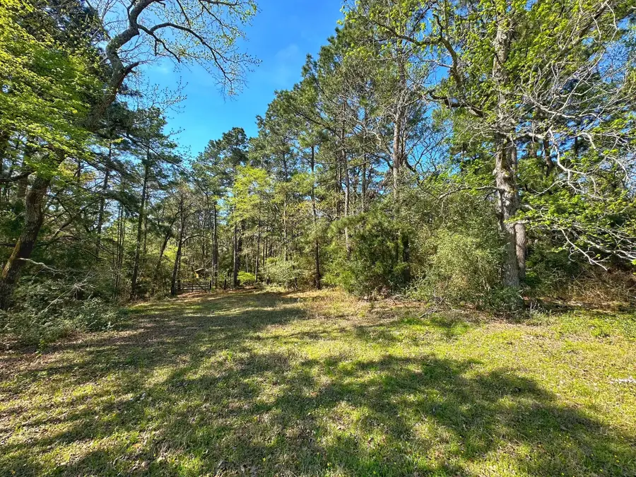 751 Cr 121, Centerville, TX 75833 - Image #2