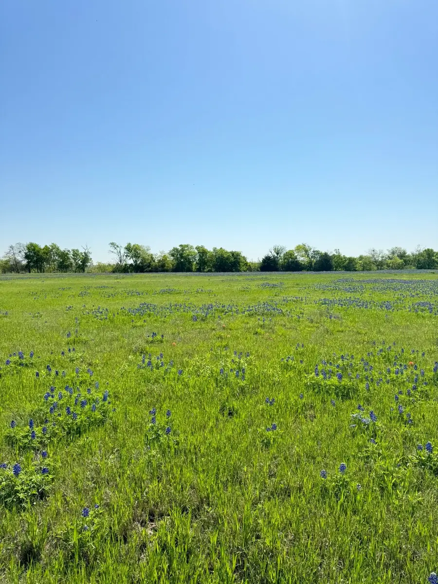 5.01 ACRES Fm-308, Penelope, TX 76676 - Image #2