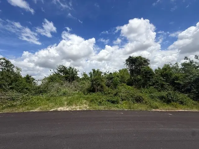 13033 Greens Bayou Street, Houston, TX 77015 - #1