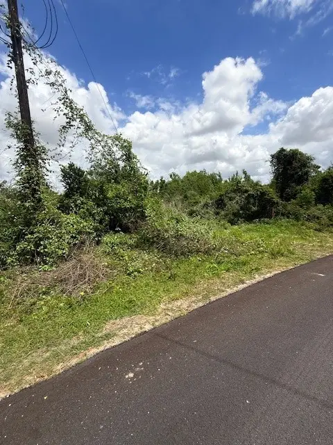 13033 Greens Bayou Street, Houston, TX 77015 - #2