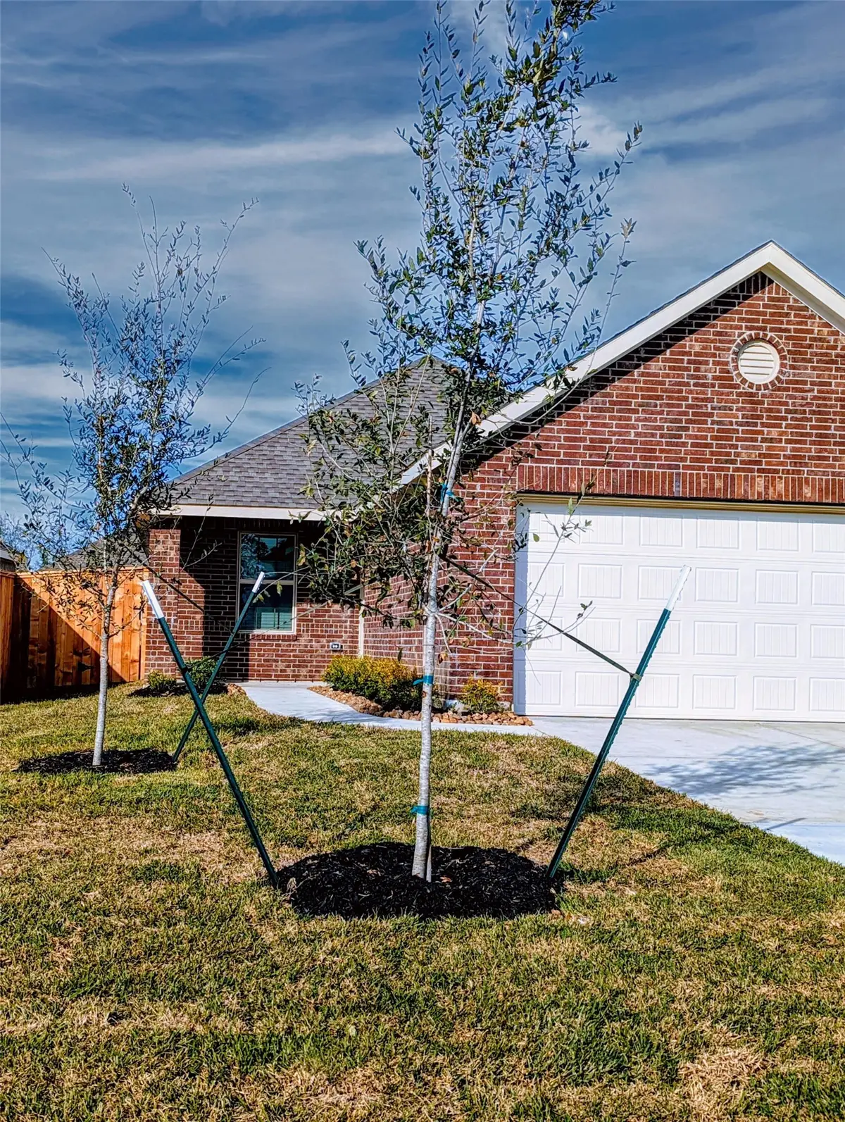 20855 Cropani Shadow Drive, New Caney, TX 77357 - #1