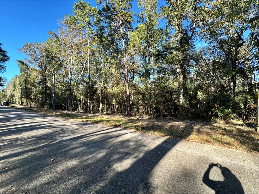 16136 Plaster Circle, Conroe, TX 77303 - Image #3