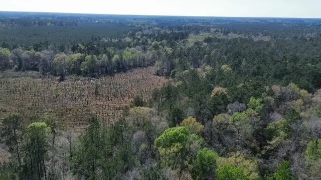 16332 Highway 96 S, Kirbyville, TX 75956 - #1