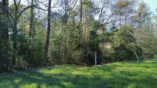 16332 Highway 96 S, Kirbyville, TX 75956 - #3