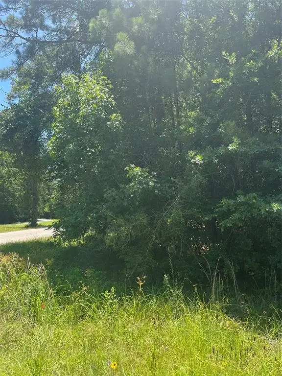 00 Appian Way, Roman Forest, TX 77357 - Image #2