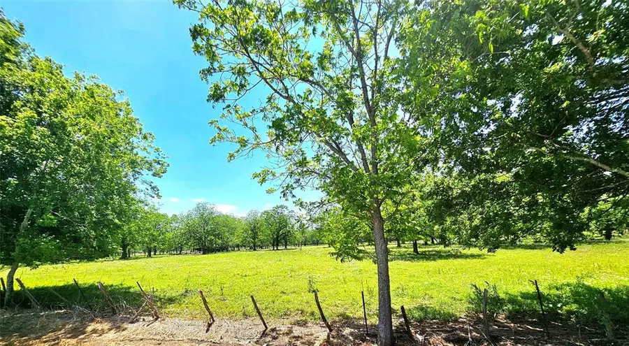 0 Cr 153, Boling, TX 77420 - Image #2