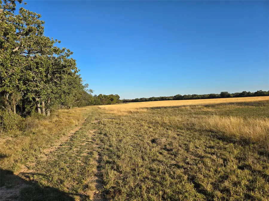 7202 Us Highway 84, Coleman, TX 76834 - #3