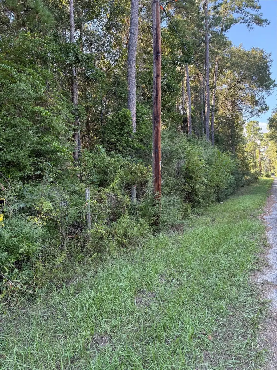 0000 Overstreet Loop, Kountze, TX 77625 - Image #2