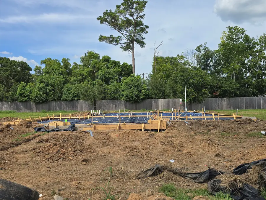 23105 Chablis Drive, Alvin, TX 77511 - Image #2