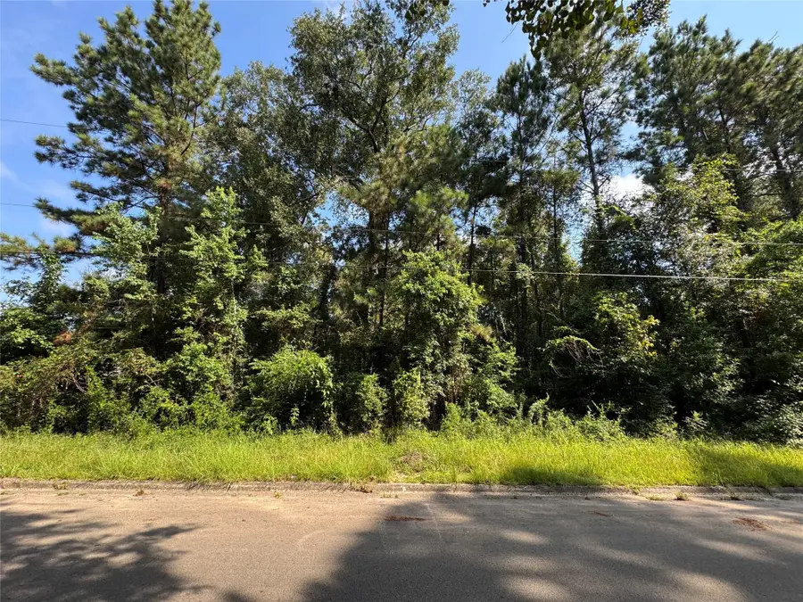 0 Hickory Ln, Splendora, TX 77372 - Image #3