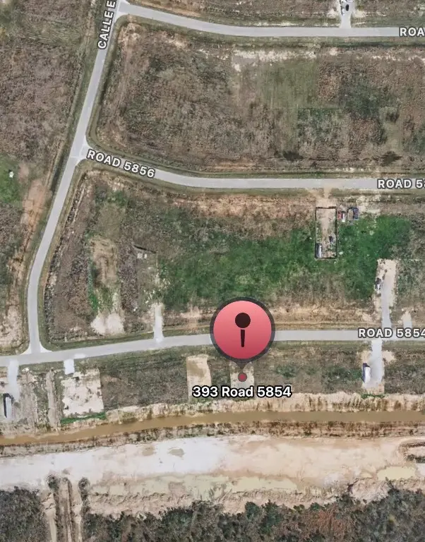 393 Road 5854, Cleveland, TX 77327 - #1
