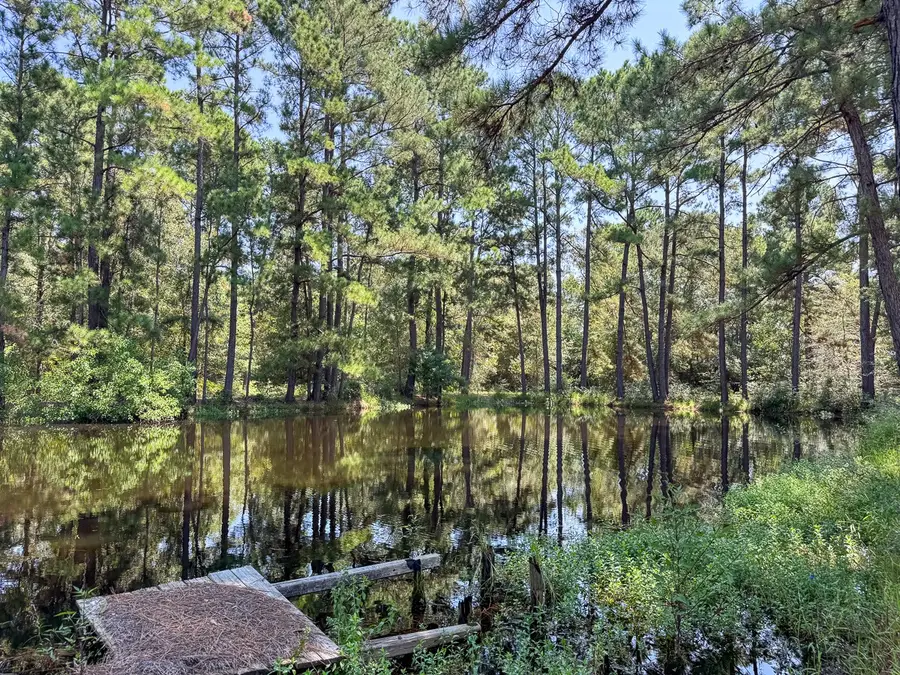 37 Archie Road, Huntsville, TX 77320 - Image #2