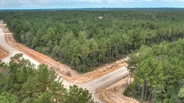 4848 Red Coyote Lane, Montgomery, TX 77316