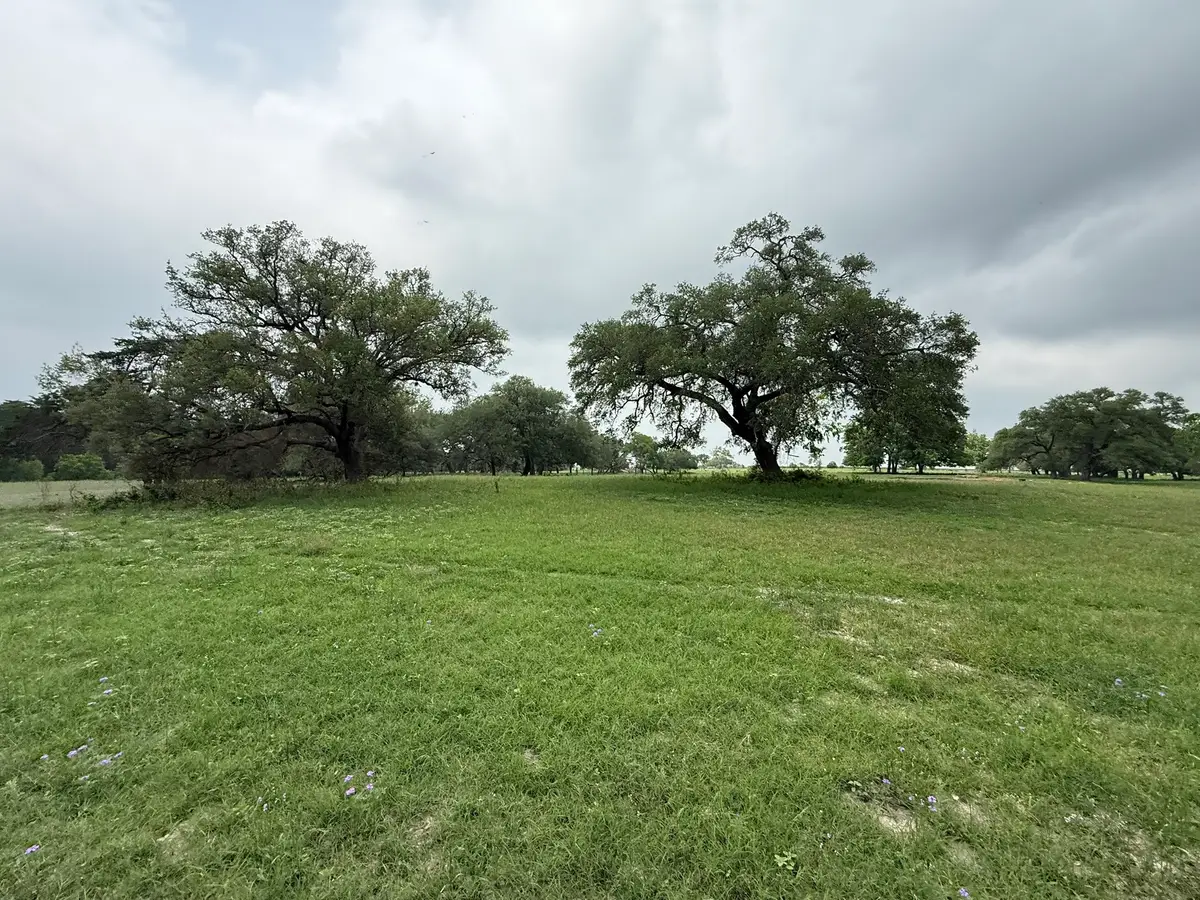 5719-6 Farm To Market 2238, Schulenburg, TX 78956 - #1