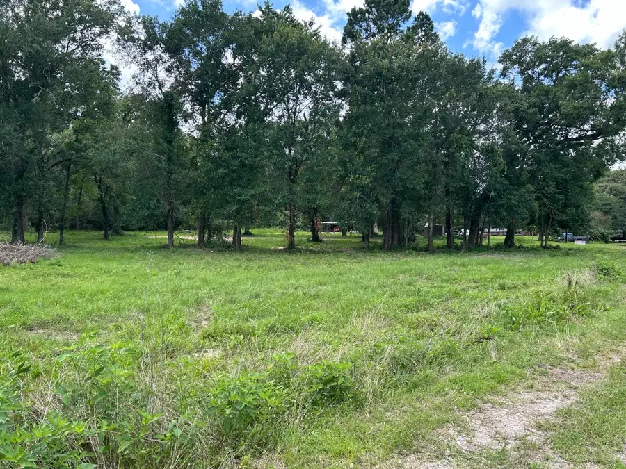 TBD N Mount Mariah Road, Montgomery, TX 77356 - #2