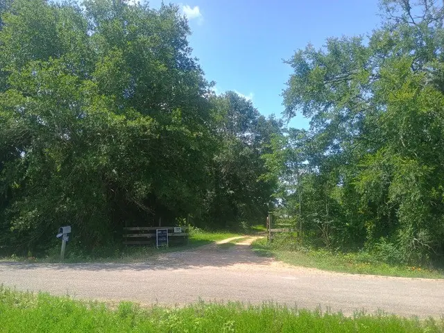 38241 Wiggins Road, Hempstead, TX 77445 - #1