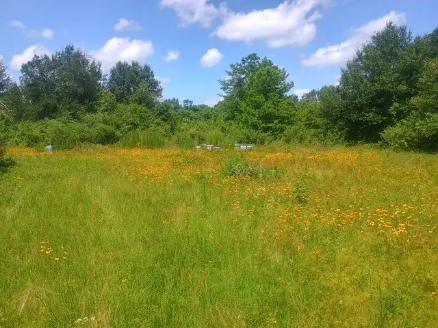 38241 Wiggins Road, Hempstead, TX 77445 - #2