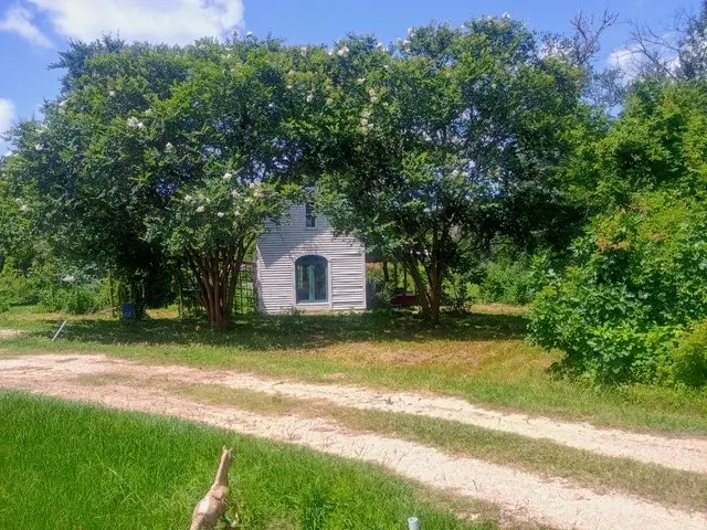 38241 Wiggins Road, Hempstead, TX 77445 - #3