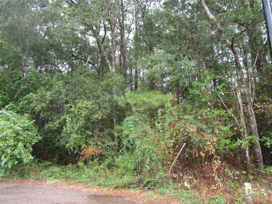 Lot 9 Stevens Forest, New Caney, TX 77357 - Image #2