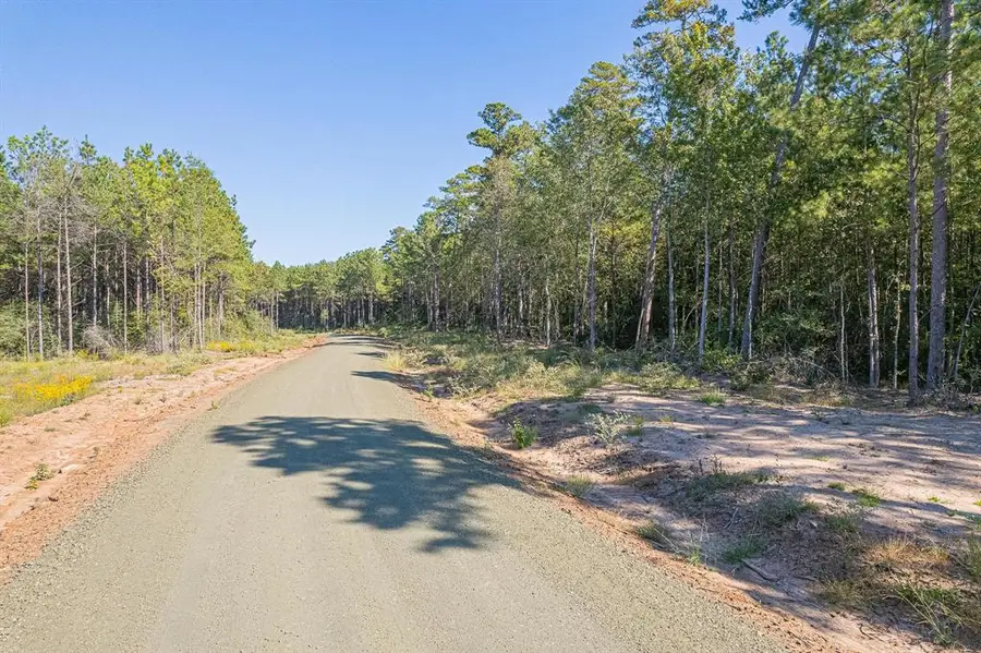 id 25417  Lot 54 Fm 705, Broaddus, TX 75929 - Image #2