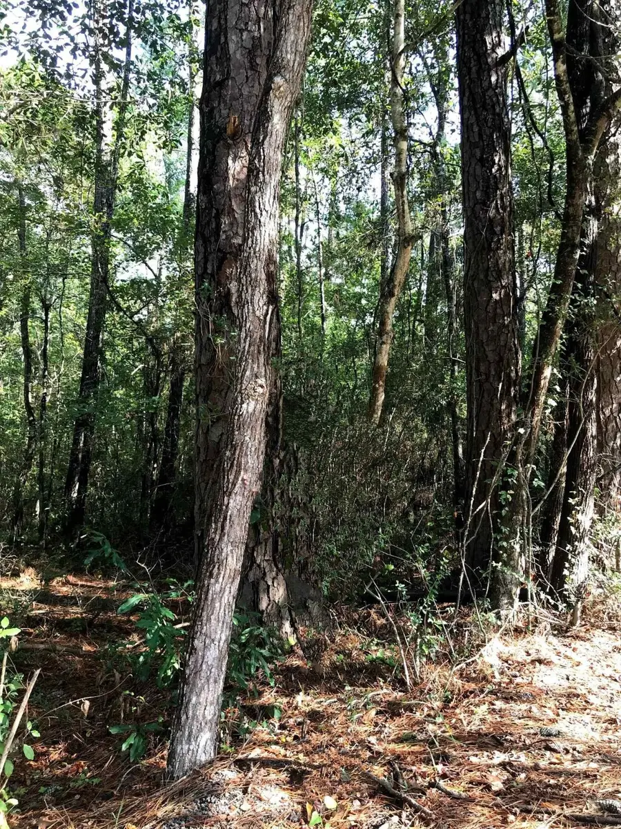 3665 E Railroad, Vidor, TX 77662 - Image #2