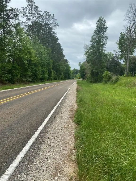 TBD 00 Fm 222 Loop S, Coldspring, TX 77331 - Image #2