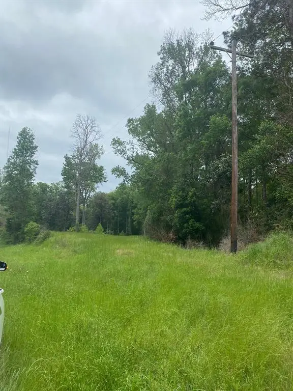 TBD 00 Fm 222 Loop S, Coldspring, TX 77331 - Image #3