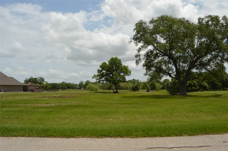 327 Cavalry Trail Drive, Rosharon, TX 77583 - #2
