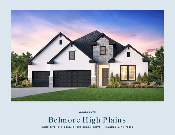 29814 Amber Brook Drive, Magnolia, TX 77354