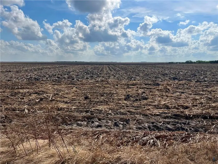 000 County Rd 97, Robstown, TX 78380 - #2
