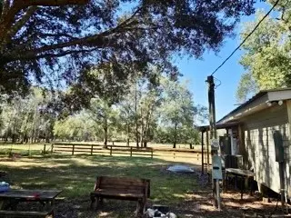 441 Wonderland Drive, Shepherd, TX 77371 - Image #3