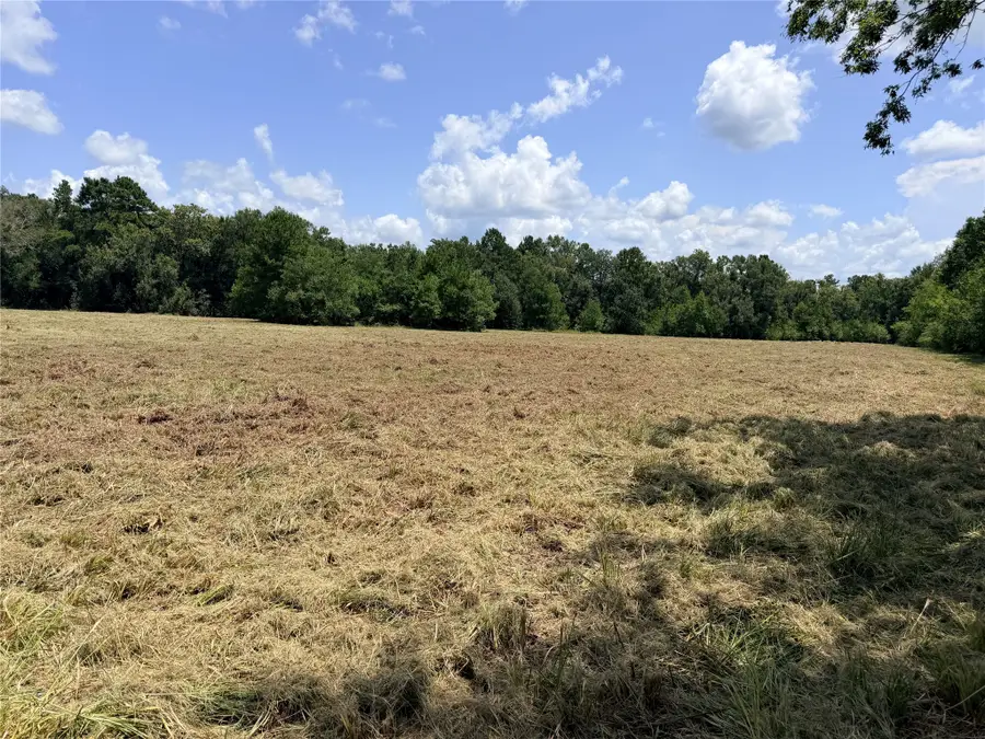 000 Old Sour Lake Road, Saratoga, TX 77585 - #3