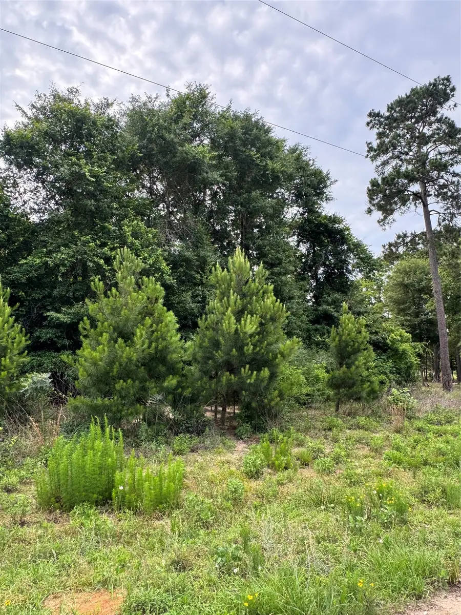 476 County Road 3773, Cleveland, TX 77327 - #2