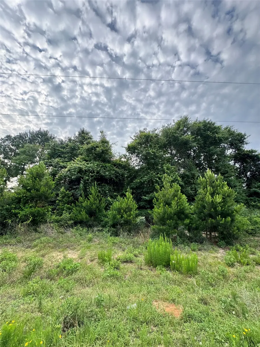 476 County Road 3773, Cleveland, TX 77327 - #3