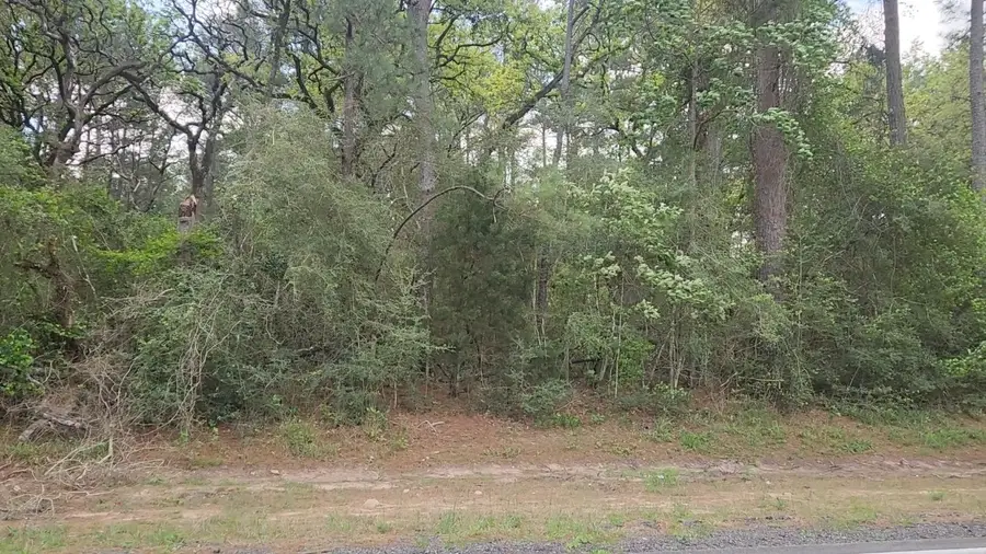 Lot 2 N Council Drive, Hempstead, TX 77445 - #2