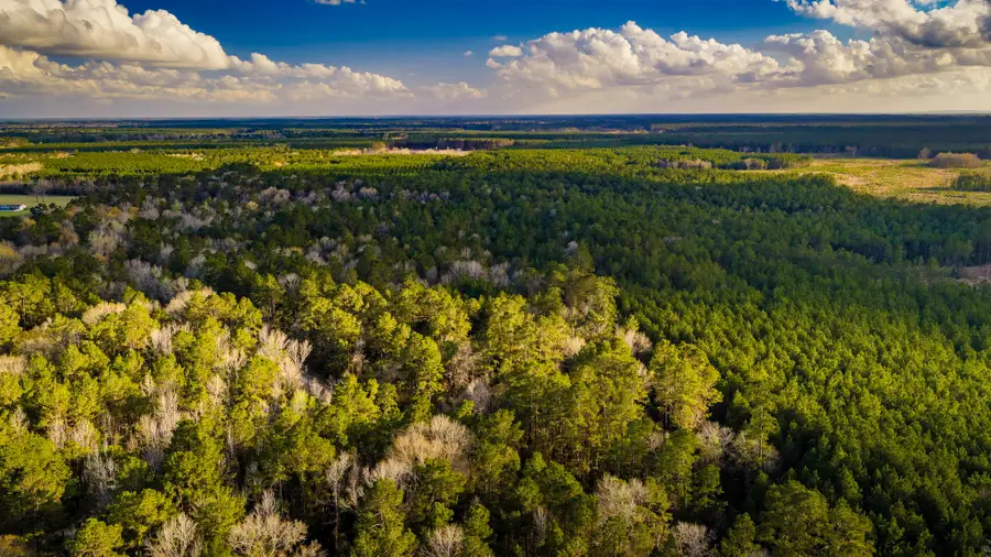 001 Holly Grove Road, Livingston, TX 77351 - #2