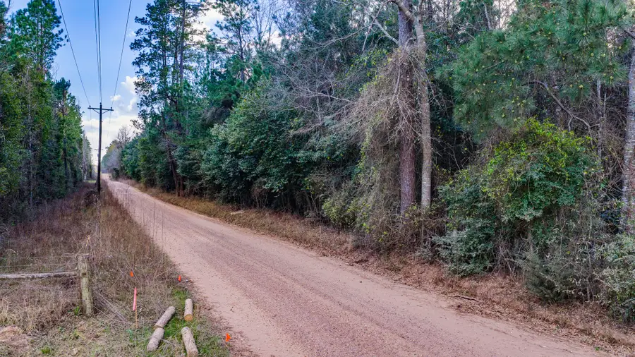 001 Holly Grove Road, Livingston, TX 77351 - #3
