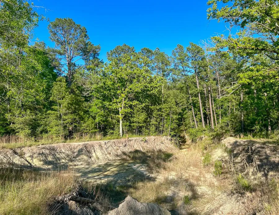 38 00 Fm 3454, Huntsville, TX 77320 - #3