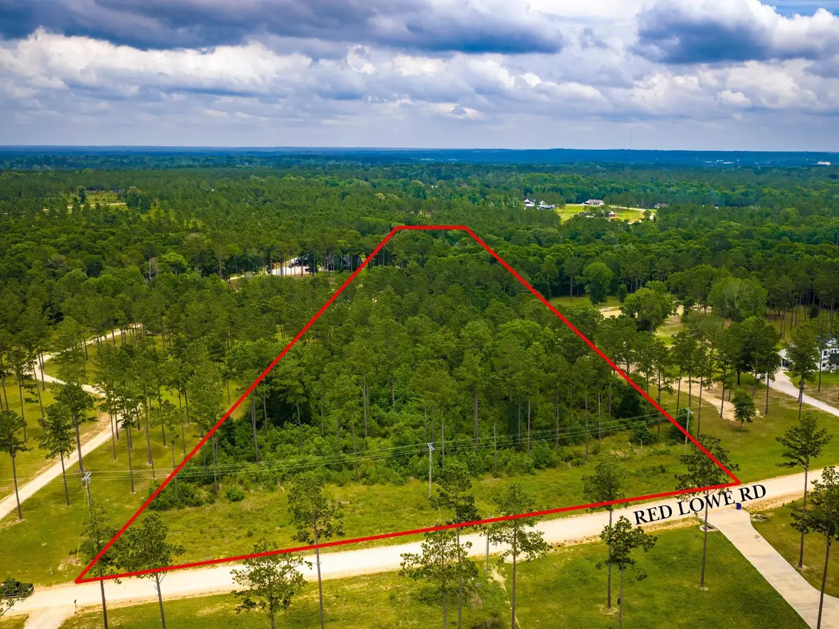 TBA Red Lowe Road, Livingston, TX 77351 - #1