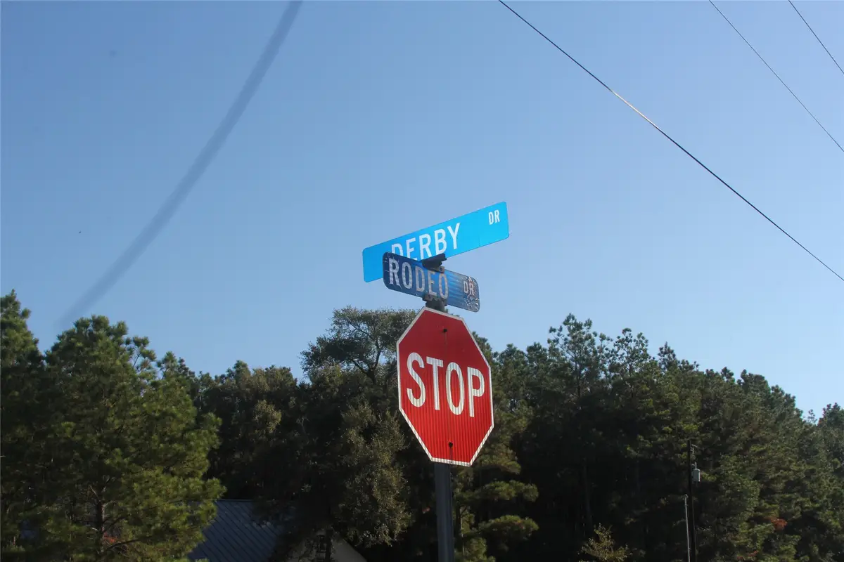 17722 Derby Drive, Waller, TX 77484 - Image #1