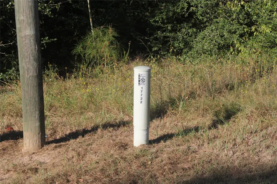 17722 Derby Drive, Waller, TX 77484 - Image #2