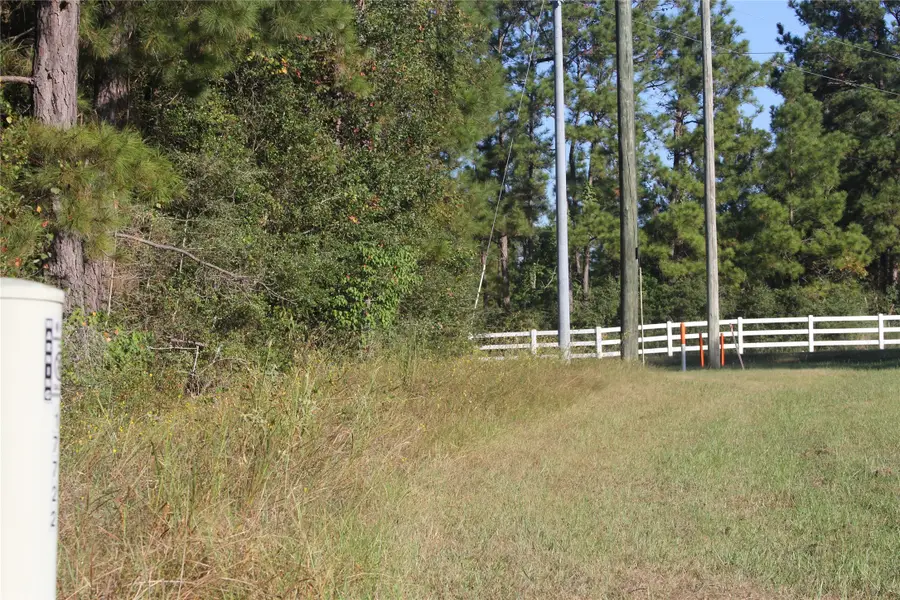 17722 Derby Drive, Waller, TX 77484 - Image #3