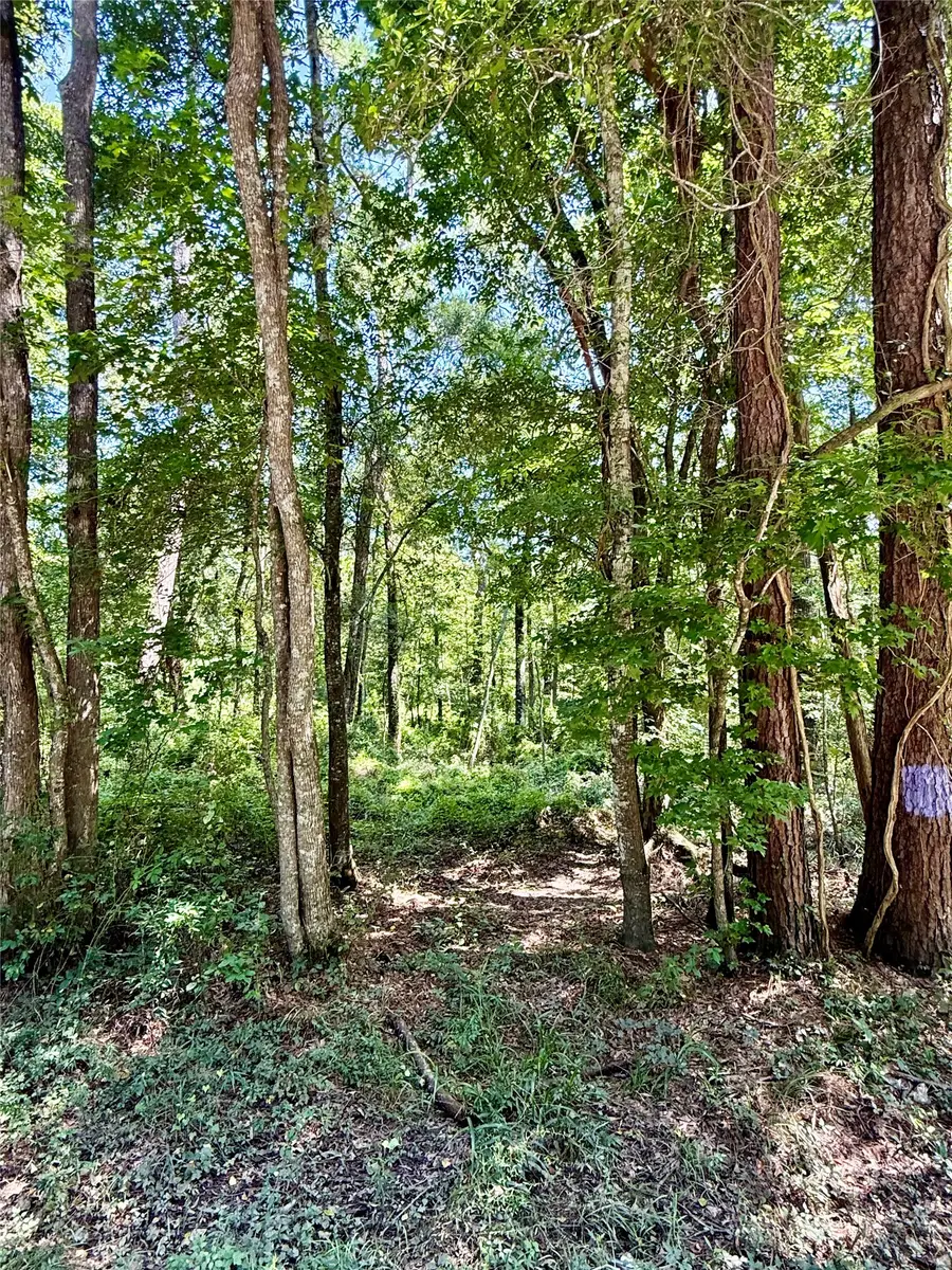 TBD Lot 5 Rolling Hills Drive, Porter, TX 77365 - #2
