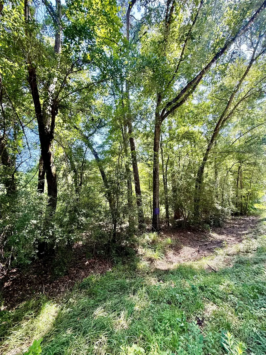 TBD Lot 5 Rolling Hills Drive, Porter, TX 77365 - #3