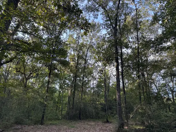 0 Buck Creek Drive, Shepherd, TX 77371